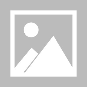 星空体育app下载-杨毅盛赞李根传奇生涯，职业联赛最佳故事，应载入史册