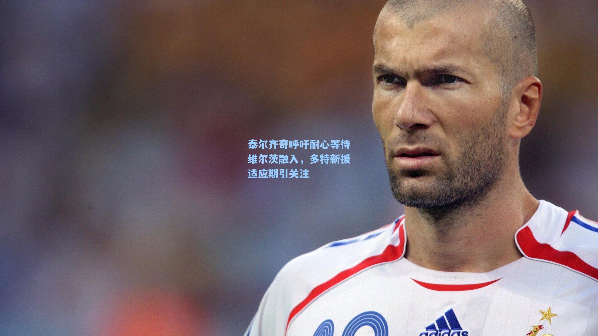 泰尔齐奇呼吁耐心等待维尔茨融入，多特新援适应期引关注